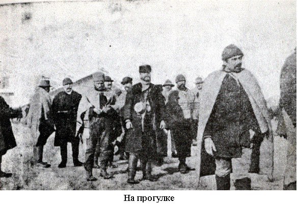 На прогулке