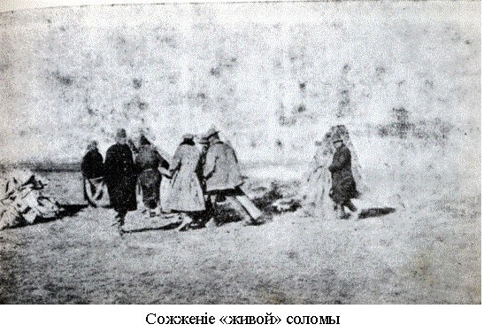 Сожжение «живой» соломы