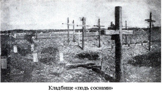 Кладбище «под соснами»