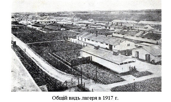Общий вид лагеря в 1917 г.